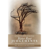 Understanding Bitter Root Judgements: Why Learn about the Laws of Attraction - Paperback
