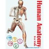 Human Anatomy for Kids - Paperback
