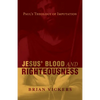 Jesus' Blood and Righteousness: Paul's Theology of Imputation - Paperback