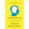 Incognito: The Secret Lives of the Brain - Paperback