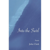 Into the Swirl - Paperback
