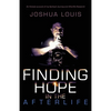 Finding Hope in the Afterlife: An Honest Account of My Spiritual Journey and Afterlife Research - Paperback