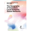 World Intellectual Property Report 2019: The Geography of Innovation: Local Hotspots, Global Networks - Paperback