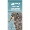 Arctic Wildlife: A Folding Pocket Guide to Familiar Animals & Plants of the Arctic & Subarctic Regions