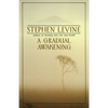 A Gradual Awakening - Paperback