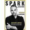 Spark: Unlock & Unblock Your Shine Potential - Paperback