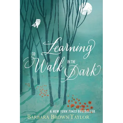 Learning to Walk in the Dark: Because Sometimes God Shows Up at Night - Paperback