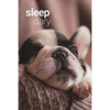 Sleep Diary - Sleepy Pup - Paperback