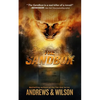 The Sandbox - Paperback