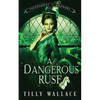 A Dangerous Ruse - Paperback