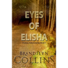 Eyes Of Elisha - Paperback