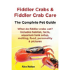 Fiddler Crabs & Fiddler Crab Care. Complete Pet Guide. What Do Fiddler Crabs Eat? Includes Habitat, Facts, Aquarium Tank Setup, Molting, Food, Persona - Paperback