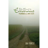 Road to Emmaus: Pilgrimage as a Way of Life - Paperback