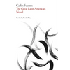 The Great Latin American Novel - Paperback