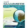 Math Mammoth Grade 4 Skills Review Workbook Answer Key - Paperback