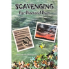 Scavenging for Diamond Dust - Paperback