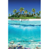 Expedition home part1: zuri island - Paperback