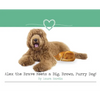 Alex the Brave Meets a Big, Brown, Furry Dog! - Hardcover