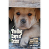 The Dog Days of Dixon: Incredible stories of love and healing in a rural New Mexico Rescue - Paperback