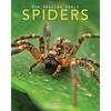 Spiders: Amazing Pictures & Fun Facts on Animals in Nature - Paperback
