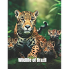 Wildlife of Brazil: coloring book - Paperback