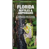Florida Reptiles & Amphibians: A Folding Pocket Guide to Familiar Species of Florida & the Everglades - Paperback
