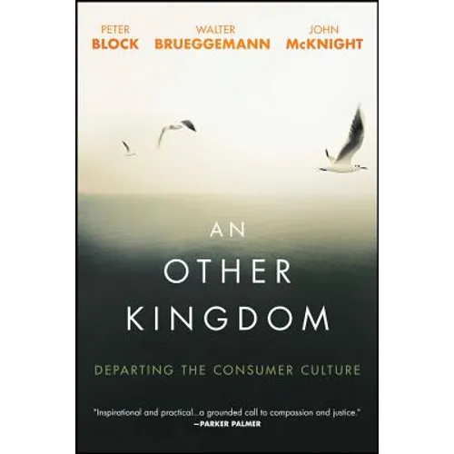 An Other Kingdom: Departing the Consumer Culture - Paperback