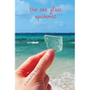 The Sea Glass Epidemic - Paperback