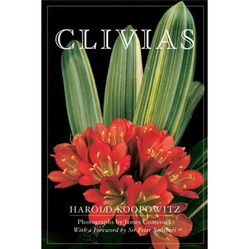 Clivias - Paperback