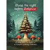 Twas the Night Before Solstice: A story about the natural origins of Western Holiday Traditions - Hardcover