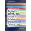 Big Digital Forensic Data: Volume 1: Data Reduction Framework and Selective Imaging - Paperback