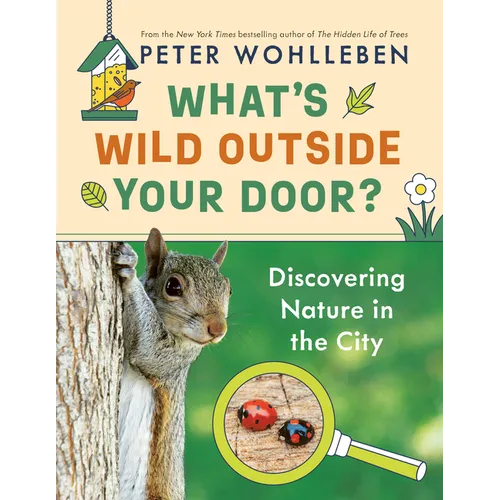 What's Wild Outside Your Door?: Discovering Nature in the City - Hardcover