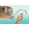 You Stole My Name: Tools: A Rhyming Book of Tools & Animals That Sound Alike - Hardcover