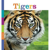 Tigers - Paperback