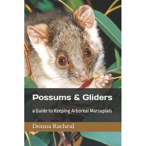 Possums & Gliders: a Guide to Keeping Arboreal Marsupials - Paperback