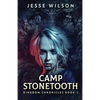 Camp Stonetooth - Paperback