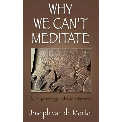 Why We Can't Meditate: A Psychology of Meditation - Paperback