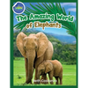 Elephants Activity Workbook for Kids ages 4-8! - Paperback