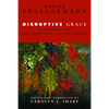 Disruptive Grace: Reflections on God, Scripture, and the Church - Hardcover