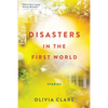 Disasters in the First World: Stories - Paperback