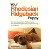 Your Rhodesian Ridgeback Puppy: The ultimate guide to finding, rearing and appreciating the best companion dog in the world - Paperback