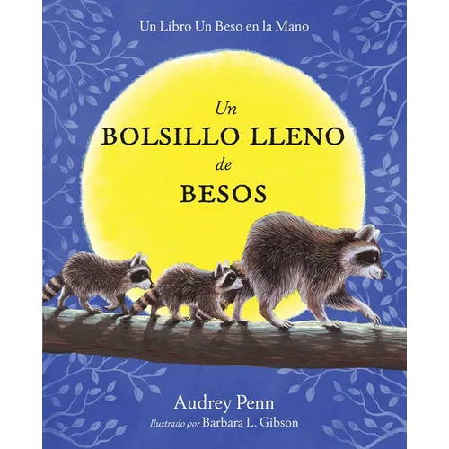 Un Bolsillo Lleno de Besos = A Pocket Full of Kisses - Hardcover