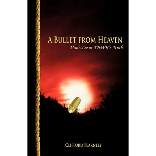 A Bullet From Heaven - Paperback