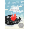Ain't Burned All the Bright - Hardcover
