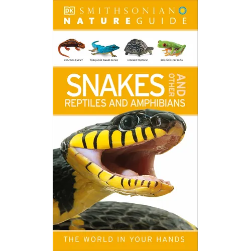 Nature Guide: Snakes and Other Reptiles and Amphibians: The World in Your Hands - Paperback