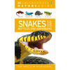 Nature Guide: Snakes and Other Reptiles and Amphibians: The World in Your Hands - Paperback