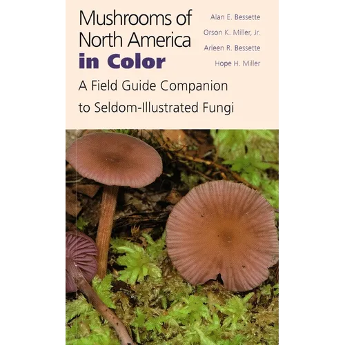 Mushrooms of North America in Color: A Field Guide Companion to Seldom-Illustrated Fungi - Hardcover