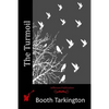 The Turmoil - Paperback