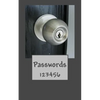 Passwords: 123456 - Paperback