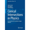 Conical Intersections in Physics: An Introduction to Synthetic Gauge Theories - Paperback